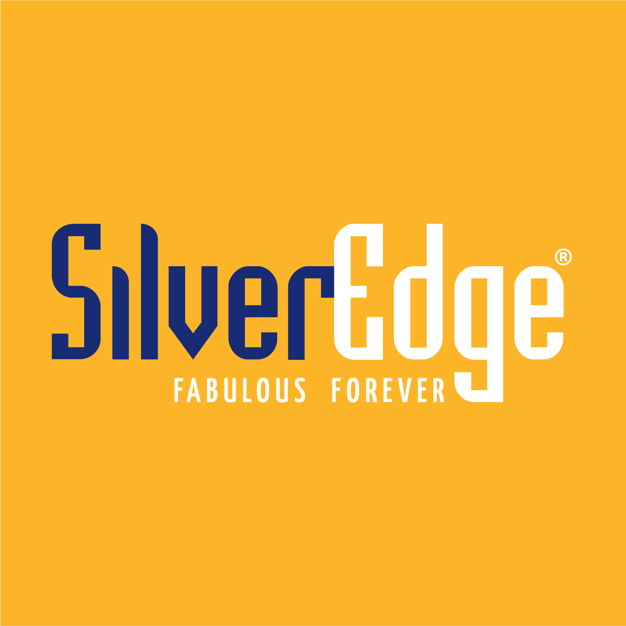 SilverEdge Logo 300 x 300px 08
