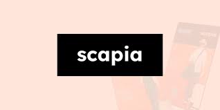 Matrix Partners, Binny Bansal, and Keki Mistry Invest $9 Million in Travel Fintech Startup Scapia